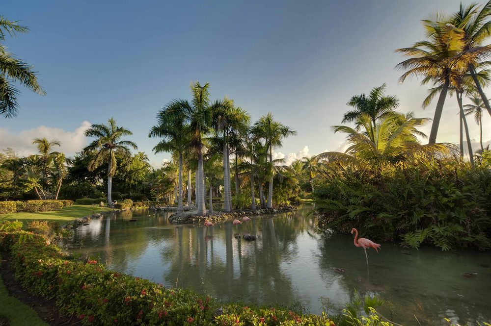 The Level At Melia Caribe Beach (Adults Only) Punta Cana Exterior foto